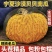 宁夏沙漠贝贝产地直供品质精品包粉包甜无水瓜大量供货