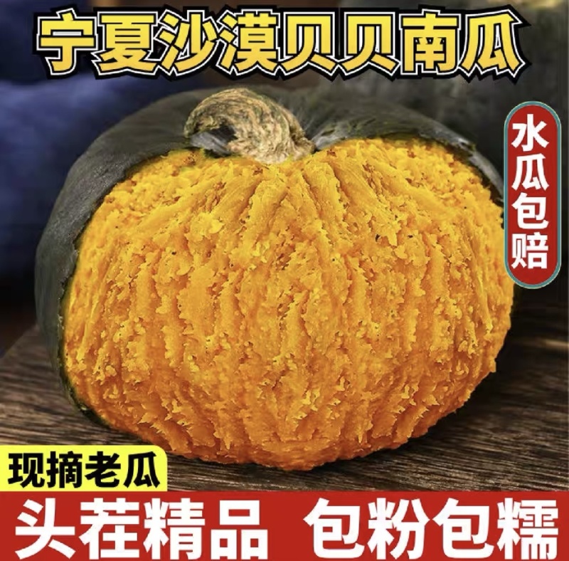 宁夏沙漠贝贝产地直供品质精品包粉包甜无水瓜大量供货