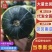 宁夏沙漠贝贝产地直供品质精品包粉包甜无水瓜大量供货