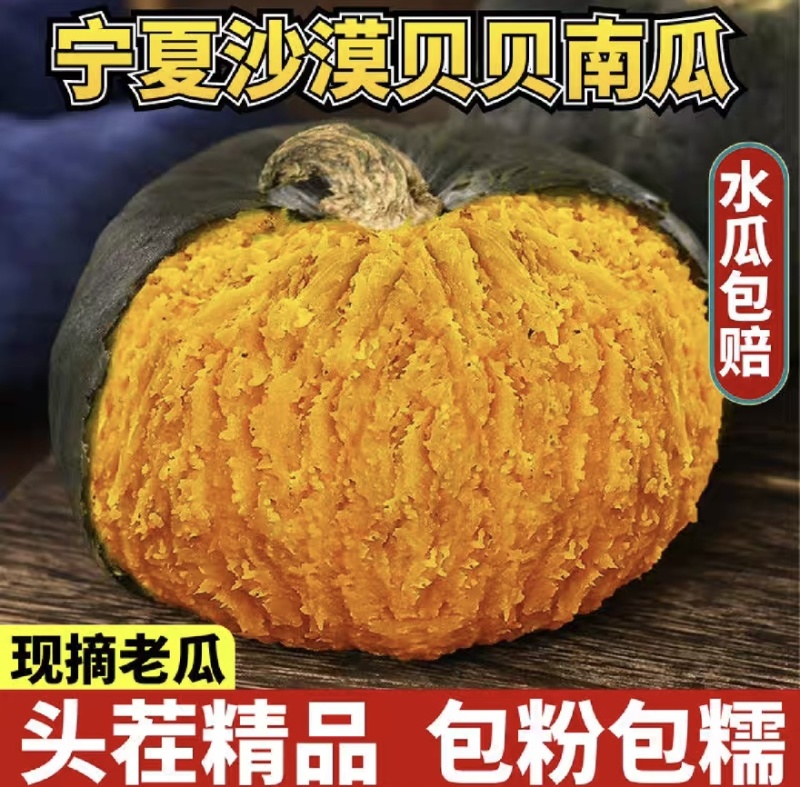 宁夏沙漠贝贝产地直供品质精品包粉包甜无水瓜大量供货