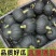 宁夏沙漠贝贝基地直供包粉包甜包糯无水瓜诚信经营全国发货