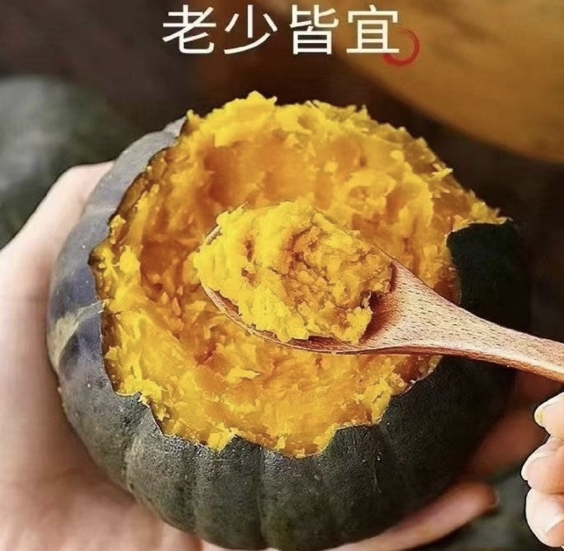 宁夏沙漠贝贝基地直供包粉包甜包糯无水瓜诚信经营全国发货