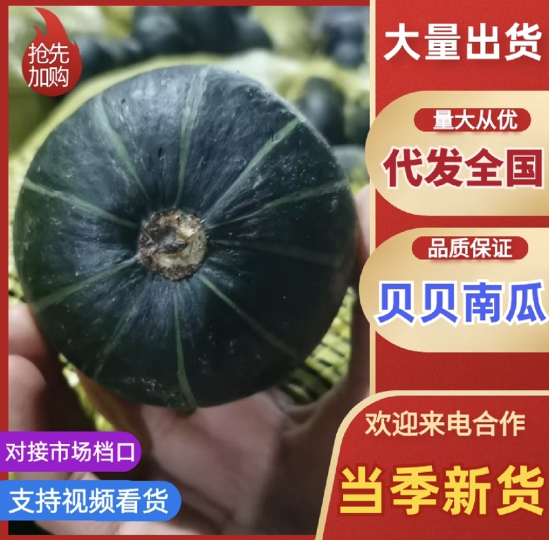 宁夏沙漠贝贝基地直供包粉包甜包糯无水瓜诚信经营全国发货