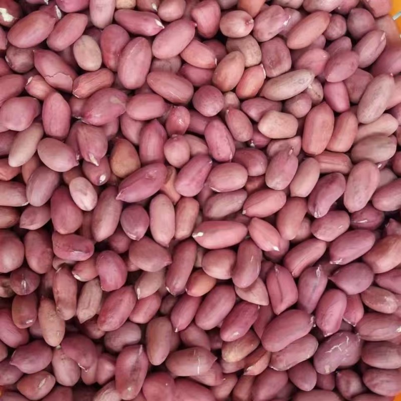 红皮花生米东北四粒红花生米八宝粥原料小粒红花生米