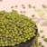 绿豆大中小颗粒绿豆明绿豆食品原料做汤粥辅料绿豆