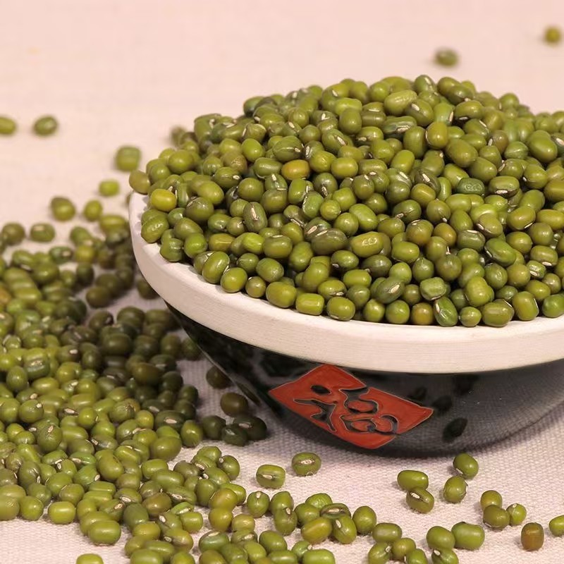 绿豆大中小颗粒绿豆明绿豆食品原料做汤粥辅料绿豆