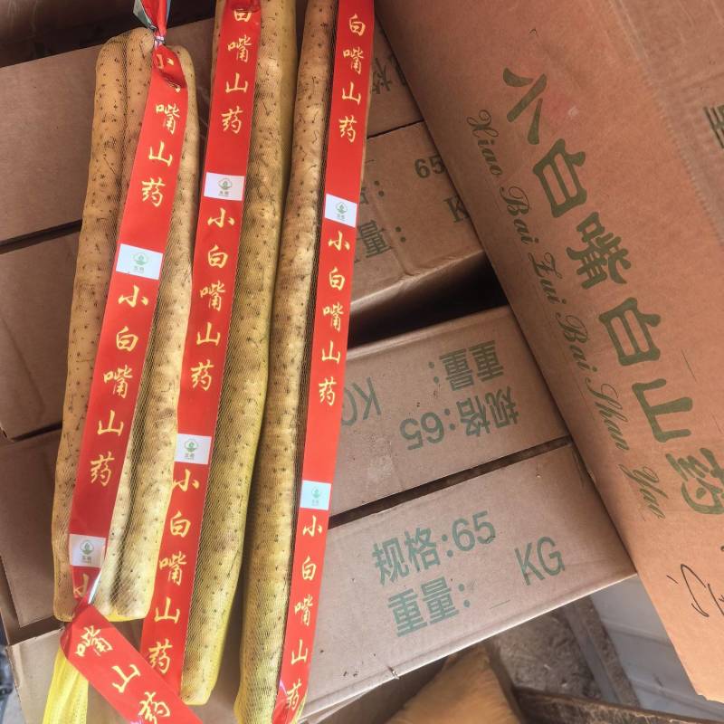 小白嘴山药产地直供，对接全国各大批发市场超市，电商团购。
