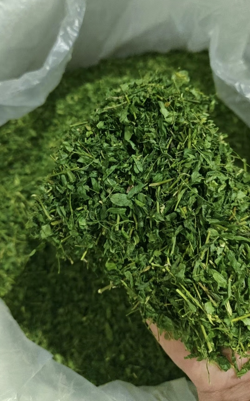 广西相思藤茶小叶鸡骨草茶鸡骨草叶藤相思叶茶