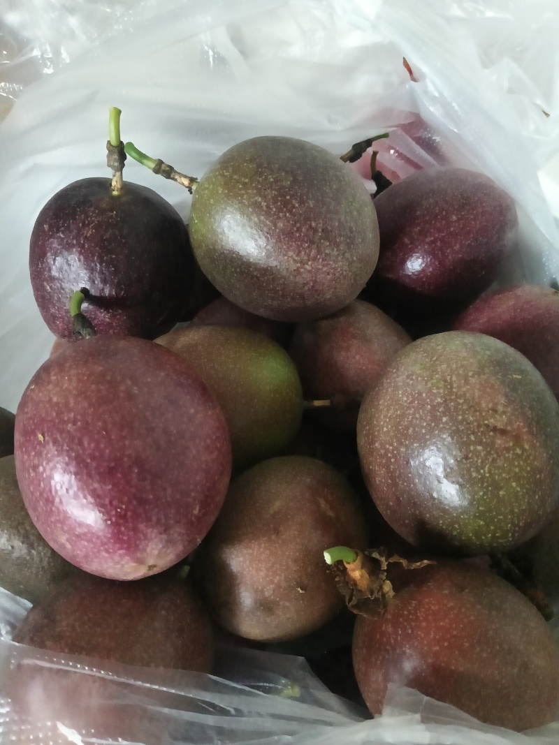 台农，桂台百香果