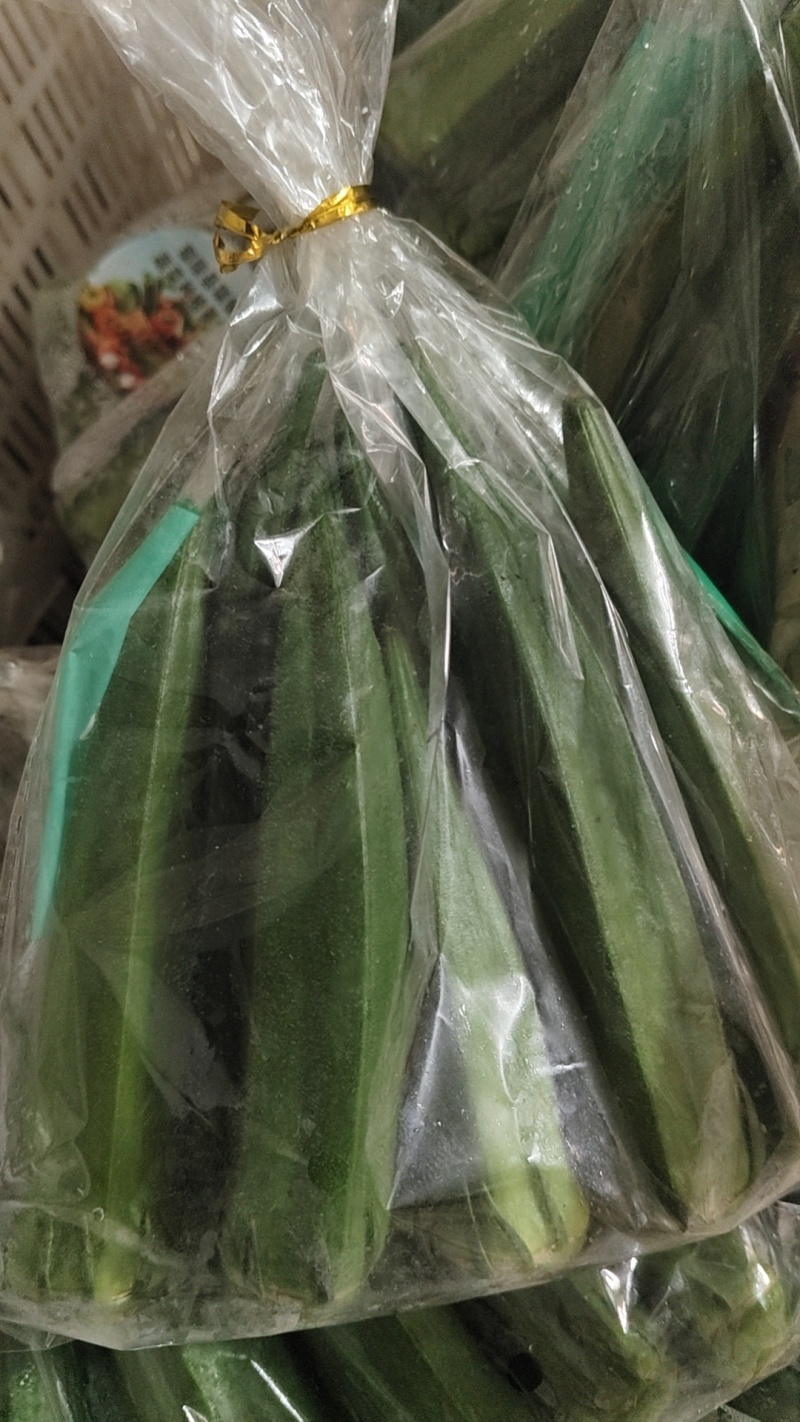 精品秋葵