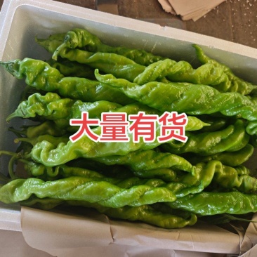 螺丝椒龙椒