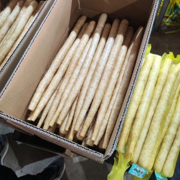 双棒山药，铁棍山药，紫药，小白嘴山药，产地直供，全国发货