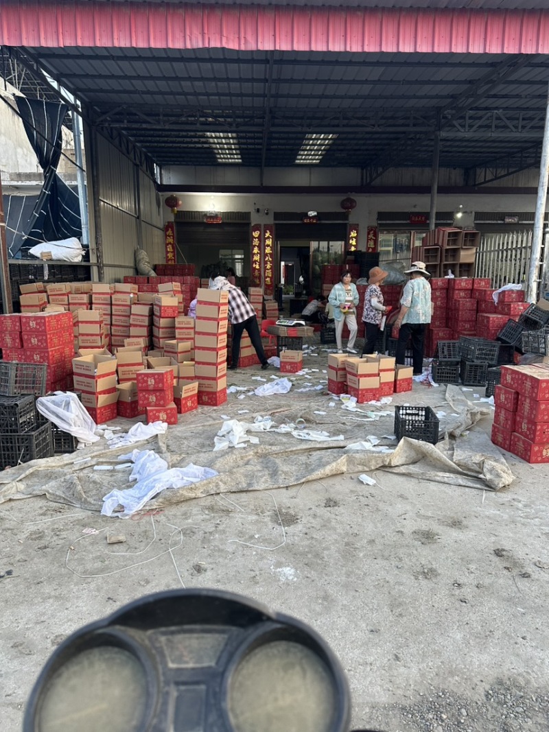 朱砂红血桃一件代发对接电商团购等产地直发诚信经营
