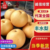 陕西丰水梨品质保证服务周到产地直发价格美丽欢迎联系咨询
