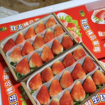 云南草莓蒙特瑞现货发售