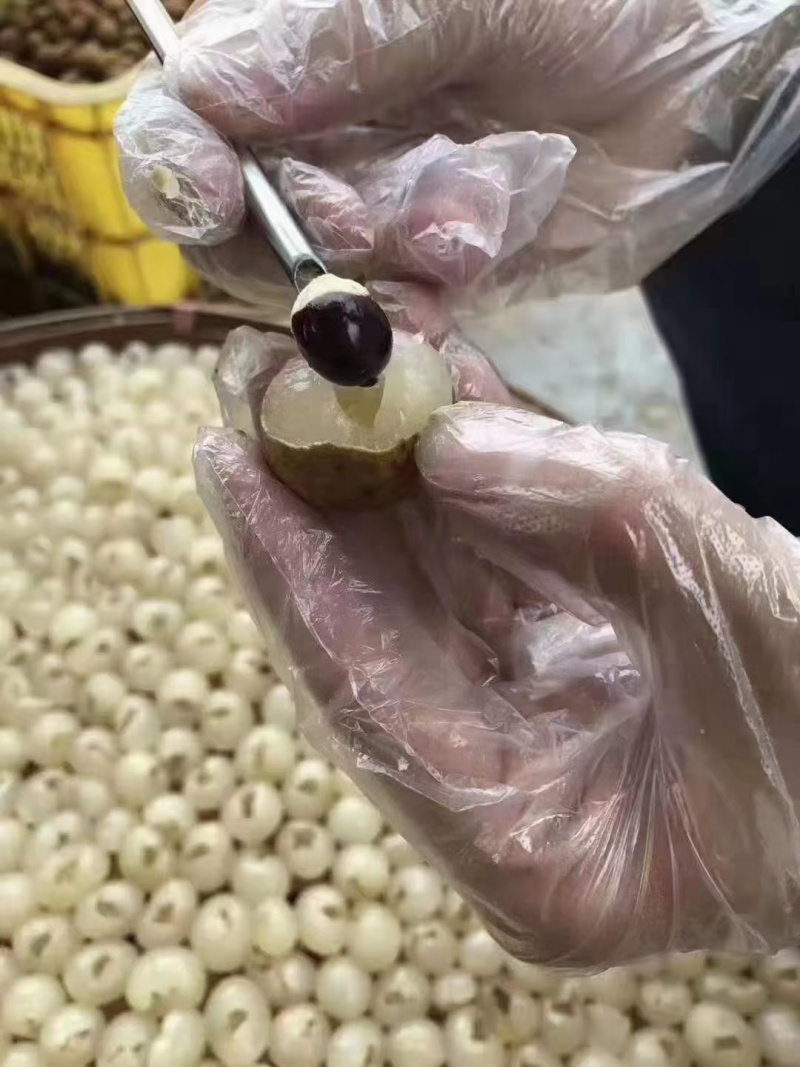 广东高州桂圆肉龙眼肉干产地直发市场批发