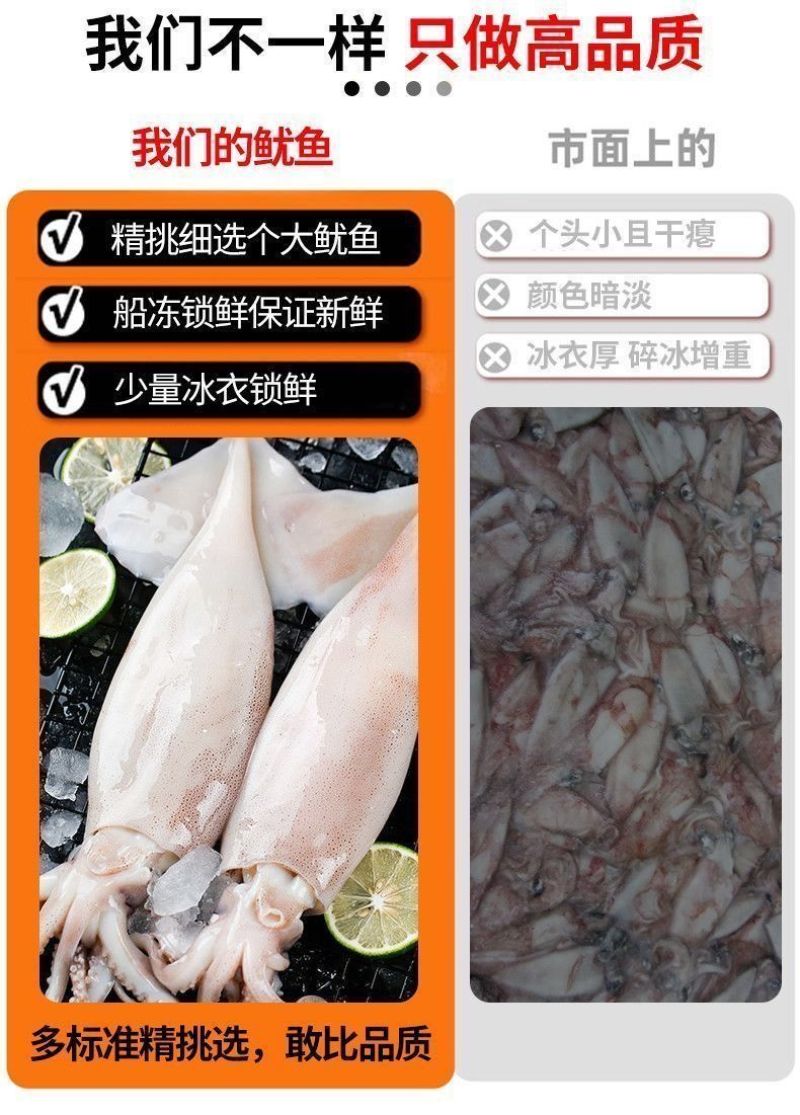 包邮）冷冻大鱿鱼整只鲜活速冻天然鱿鱼新鲜速冻冰鲜鱿鱼