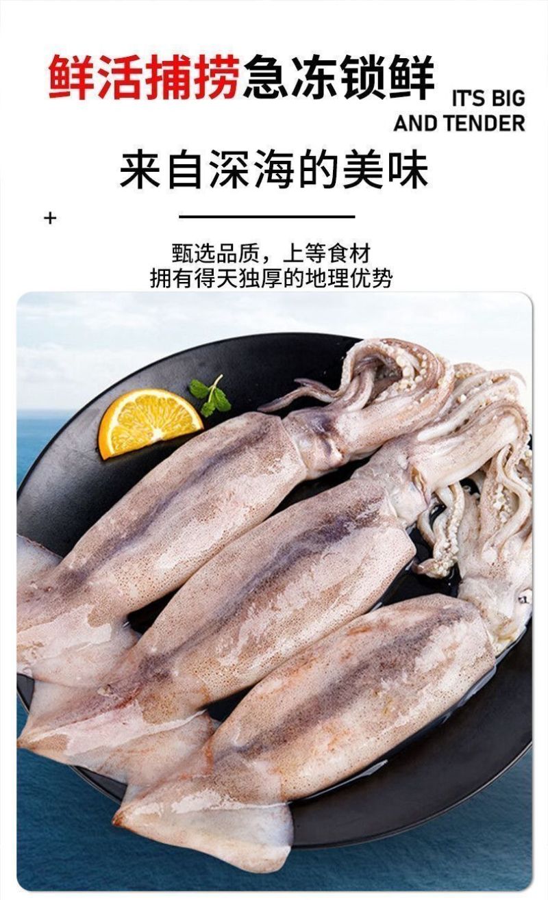 包邮）冷冻大鱿鱼整只鲜活速冻天然鱿鱼新鲜速冻冰鲜鱿鱼