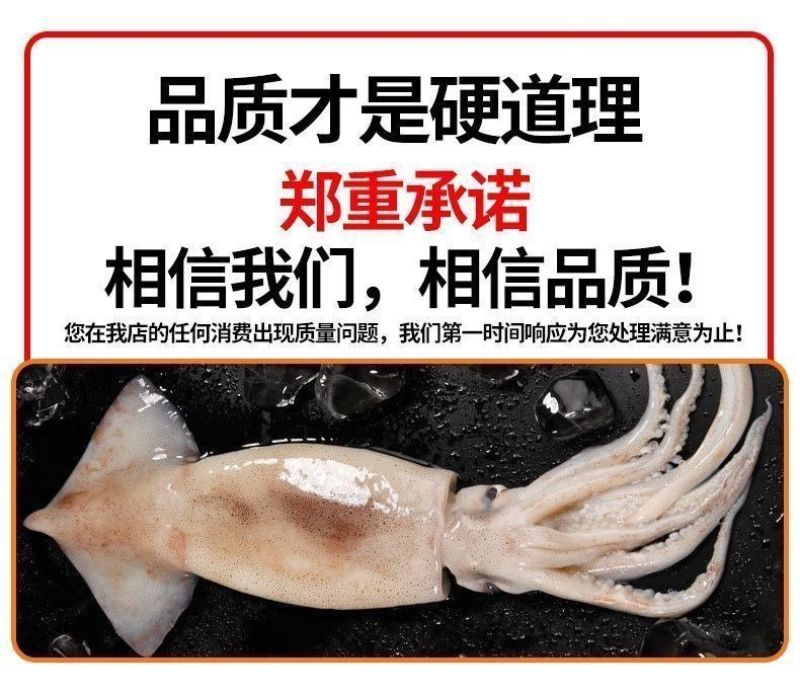 包邮）冷冻大鱿鱼整只鲜活速冻天然鱿鱼新鲜速冻冰鲜鱿鱼