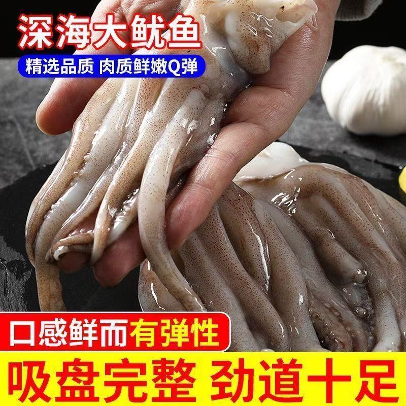 包邮）冷冻大鱿鱼整只鲜活速冻天然鱿鱼新鲜速冻冰鲜鱿鱼