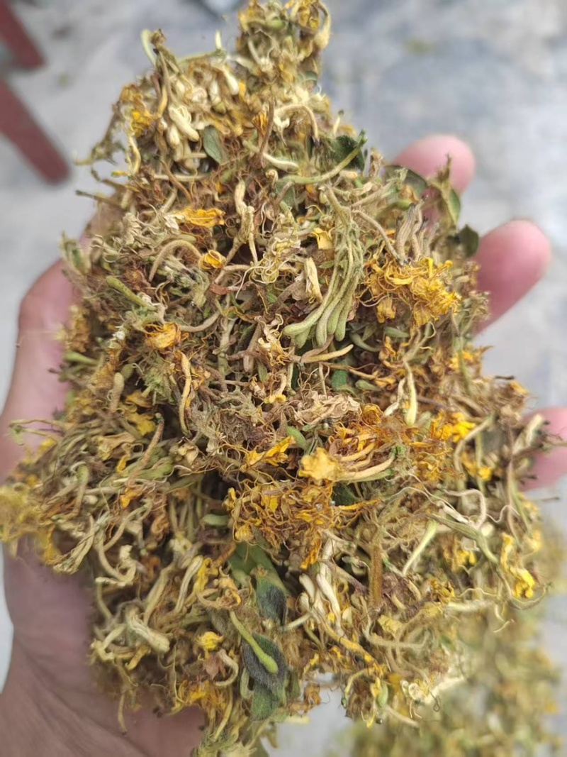 纯野生金银花农户自然晒干香味十足无硫磺