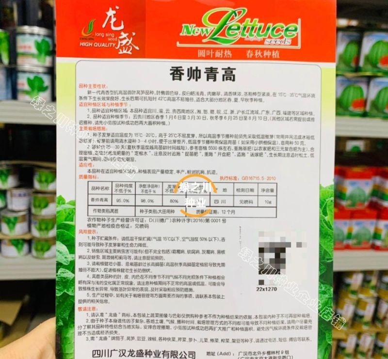 高桩青莴笋种子薄皮绿肉大棒高产春秋基地专用播种青莴笋种子