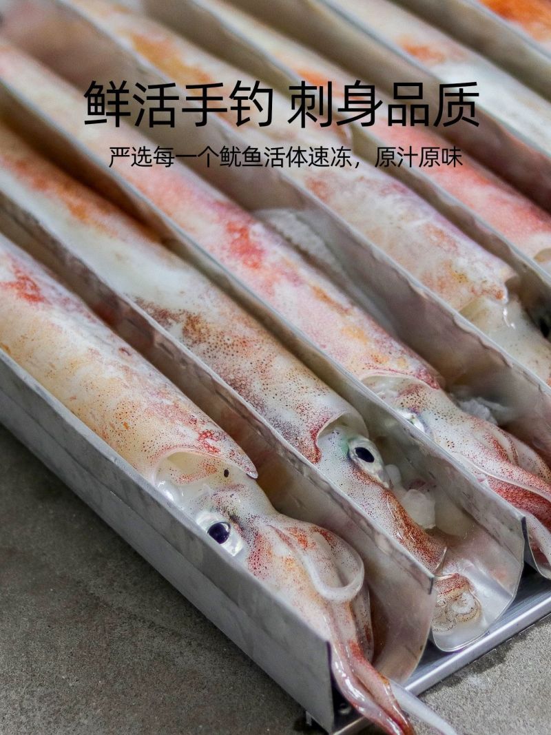 湛江活冻鲜鱿鱼新鲜灯光海捕海兔子灯光笔管鱼一口鱿活冻批发锁鲜