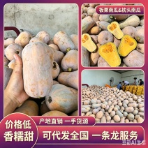 枕头南瓜，汉中枕头南瓜，金枕南瓜产地直发一手货源欢迎联系