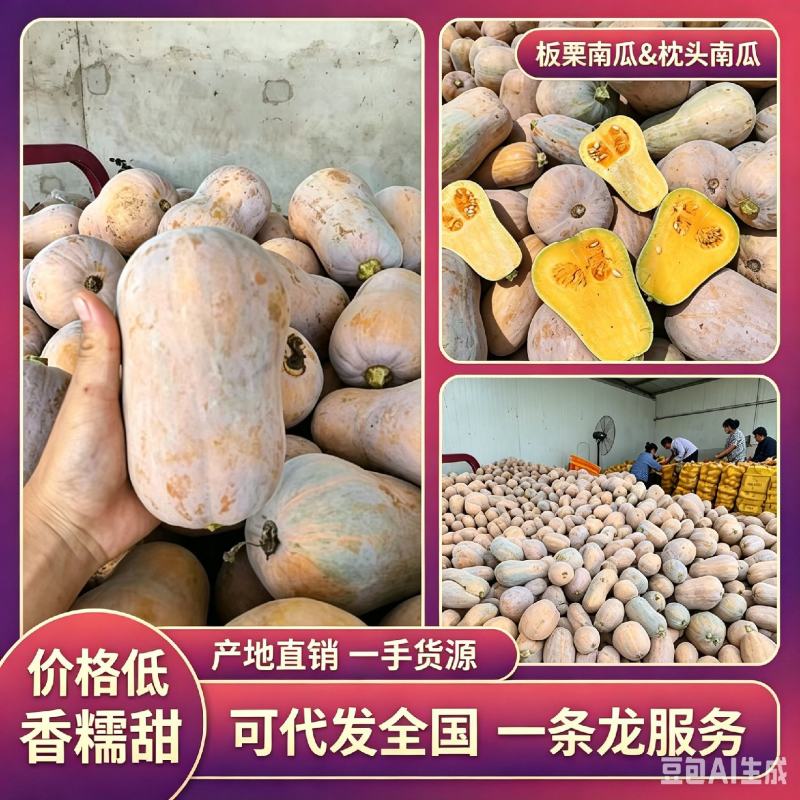 枕头南瓜，汉中枕头南瓜，金枕南瓜产地直发一手货源欢迎联系
