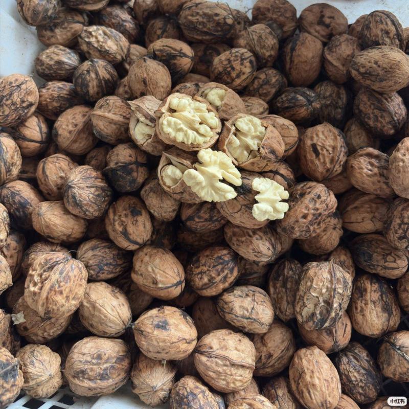 去皮鲜核桃，电商一件代发