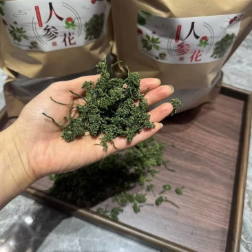2026年长白山人参花年份