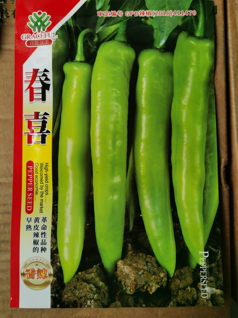 优美春喜黄皮椒优美518抗病耐寒热辣椒