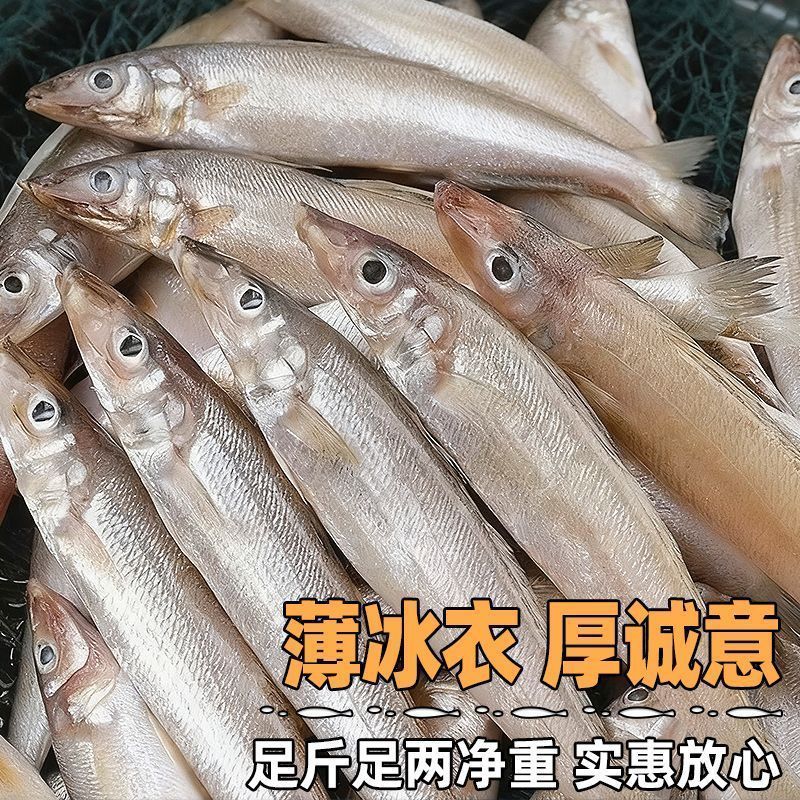 冷链直达正宗沙丁鱼新鲜冷冻冰鲜沙尖鱼速冻海捕小沙丁鱼沙梭批发
