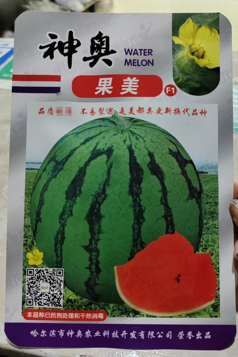 【神奥果美】美都西瓜种子早中熟6—10公斤圆球型红瓤口感