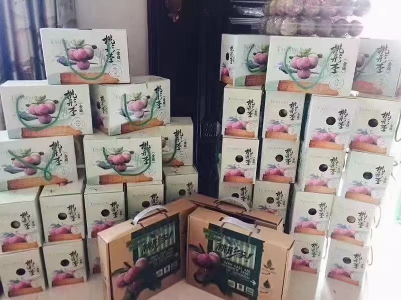 浙江名果桃形李产地一手货源物美价廉