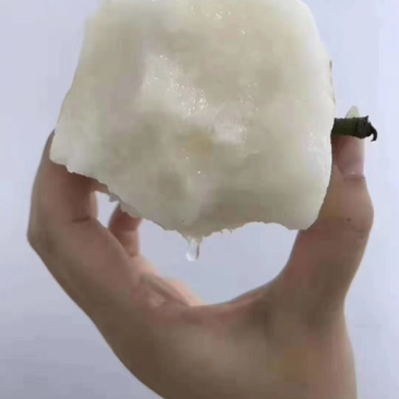 连洲水晶梨