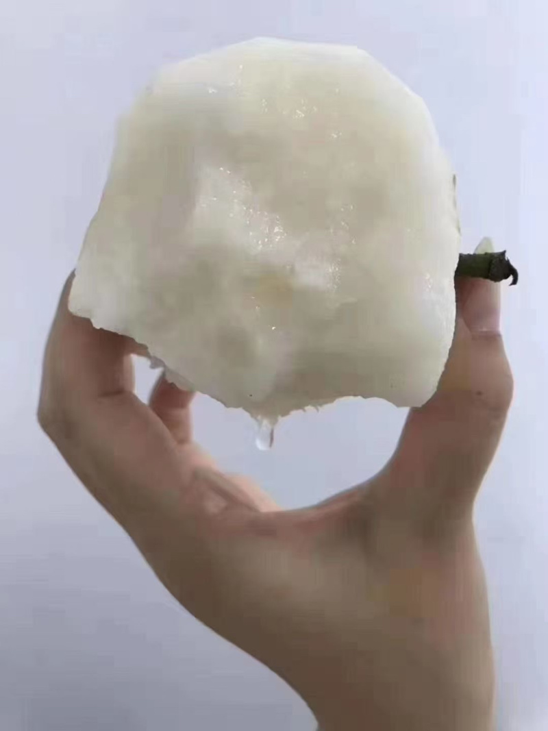 连洲水晶梨