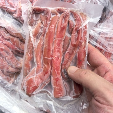 细管海肠