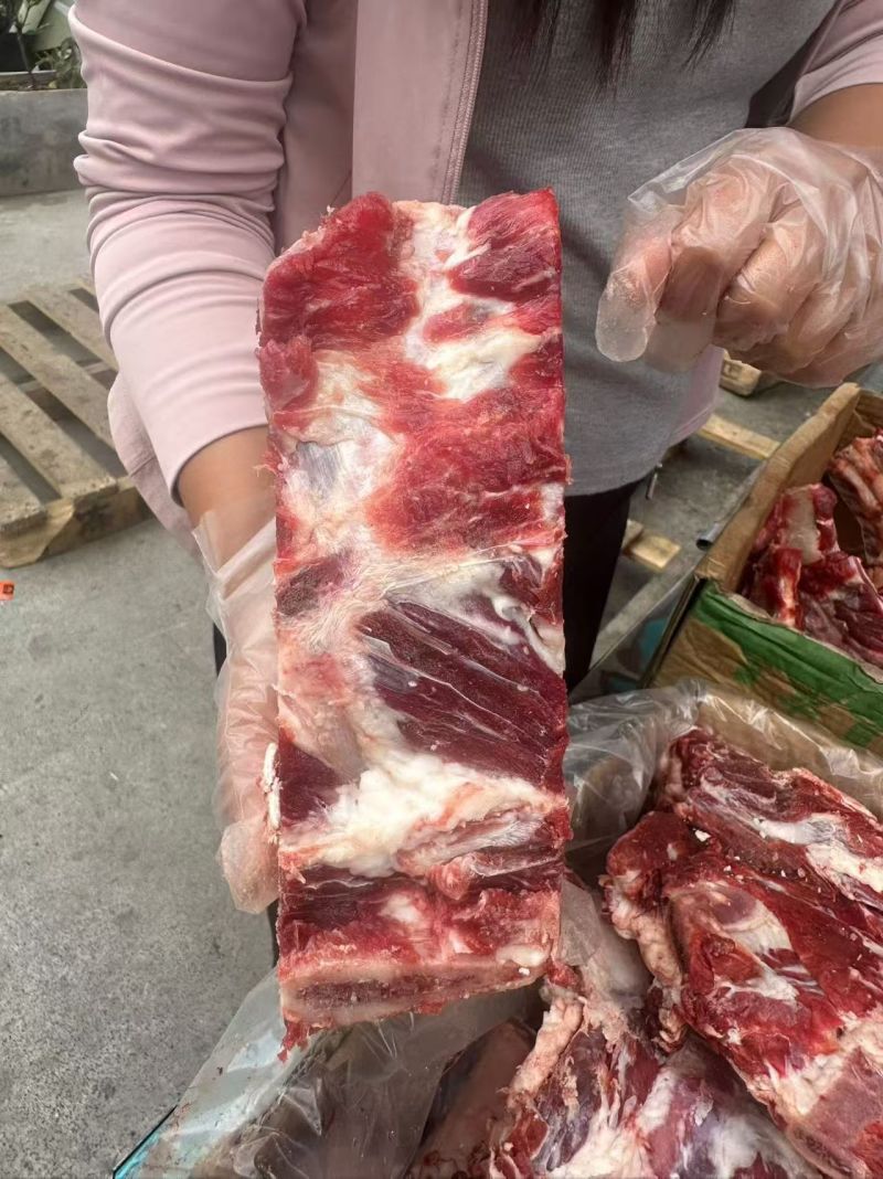 农垦牛肋眼骨