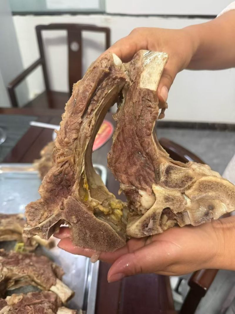 农垦牛肋眼骨