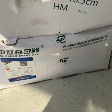 羊燕翅骨内蒙中敖