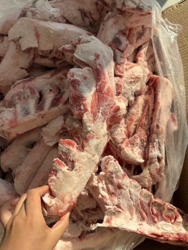 羊燕翅骨内蒙中敖