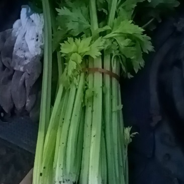 芹菜