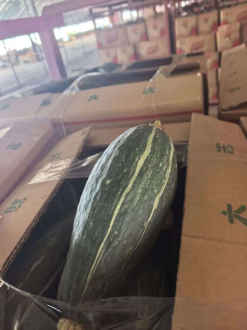 一斤以上地爬子贝贝南瓜，产区直发，货源充足，欢迎选购