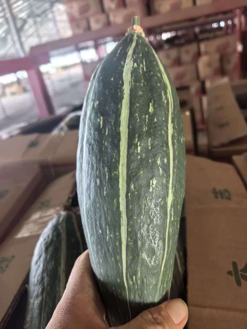 一斤以上地爬子贝贝南瓜，产区直发，货源充足，欢迎选购