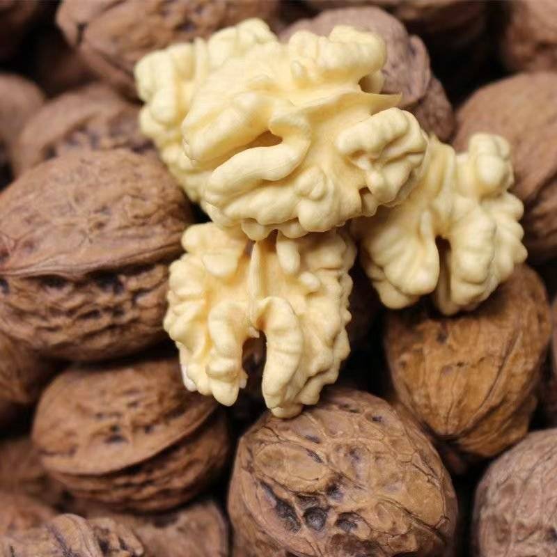 批发核桃，电商一件代发，小批量批发