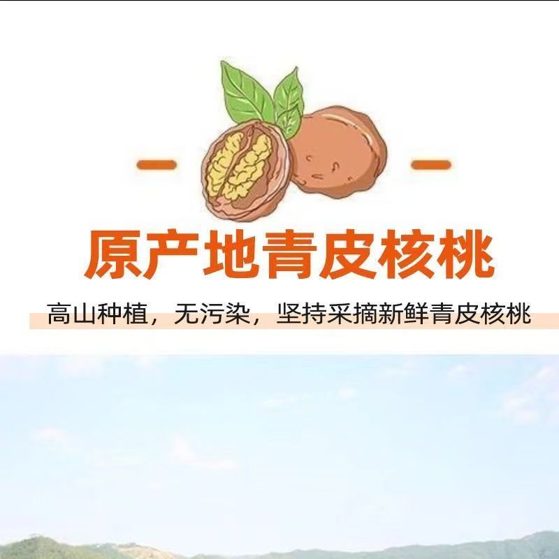 批发核桃，电商一件代发，小批量批发