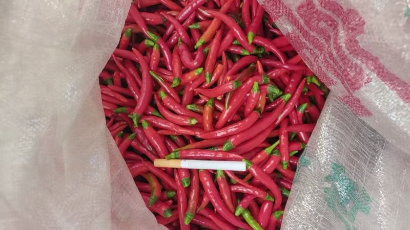 云南人工剪把红小米，