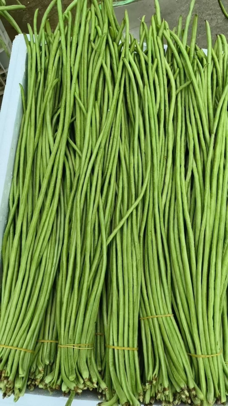湖北利川高山新苗豇豆大量上市欢迎全国各地的采购商洽谈