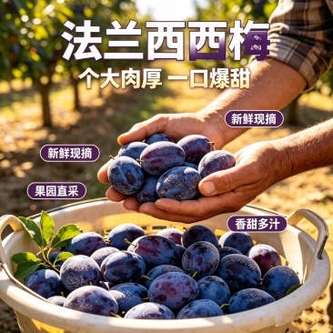 一件代发法兰西梅电商出口各大网站均可对接合作